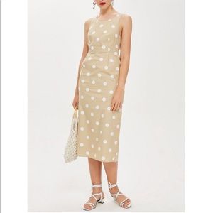 NWT size 6 Topshop polka dot summer dress